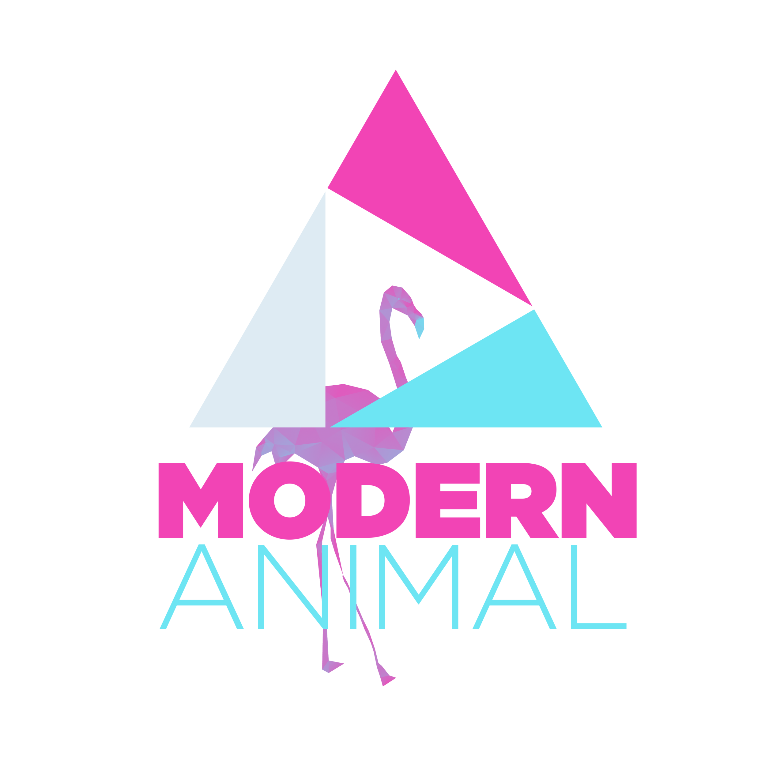 Video Editing & Motion Graphics for Agencies | Modern Animal Logo